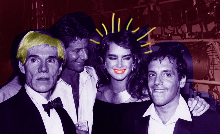 Brooke Shields actress model and Studio 54 regular turned art collector portrait image