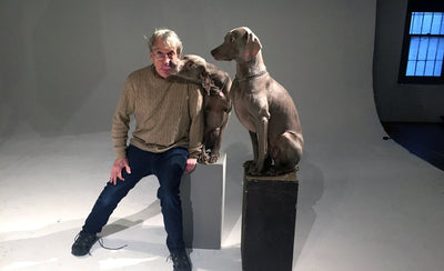 Studio visit with artist Robert Wegman featuring conceptual art and dogs in wigs from California conceptualism