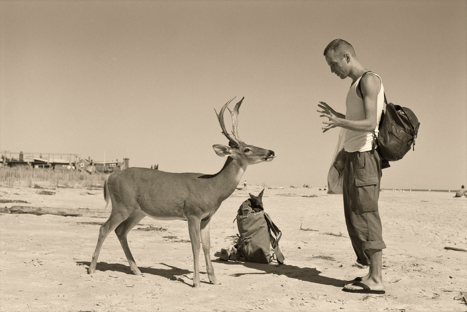 Wolfgang Tillmans tells the story of how he took this famous photograph on Fire Island