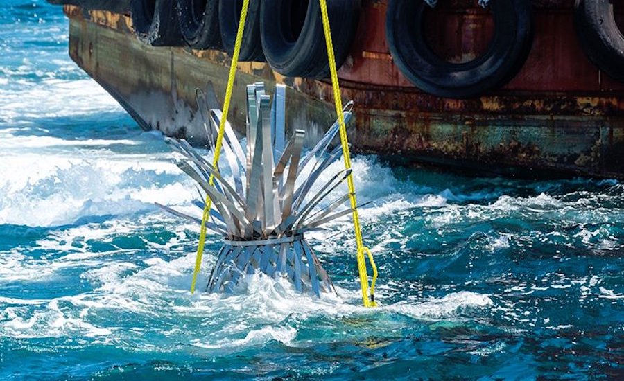 Underwater sculpture park fire in Chelsea lawsuit against PS1 art news weekly update image