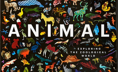 animals wildlife close-up natural habitat outdoor environment