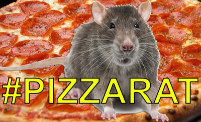 an exhibition by zardulu reveals the artist behind pizza rat and other hoaxes