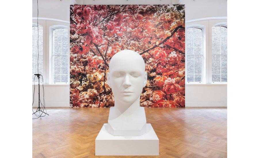 Trevor Paglen Bloom artwork reflecting themes of death and mourning with abstract imagery