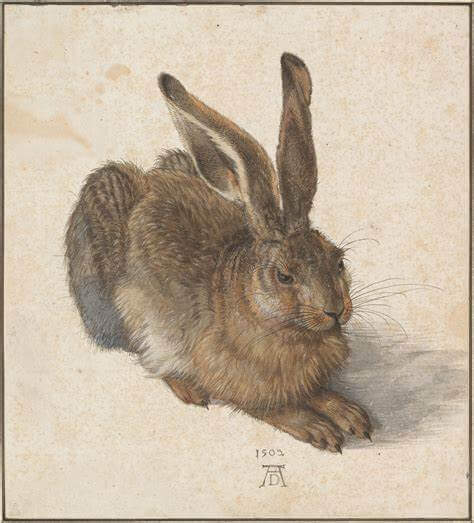 Albrecht Dürer detailed engraving of a hare with realistic fur texture and naturalistic shading