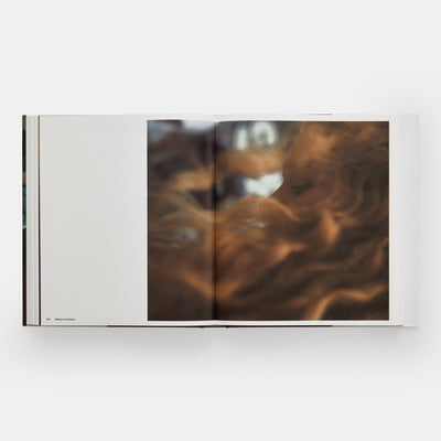 Untitled (Superman and Rabbit), 1989 (2023)
