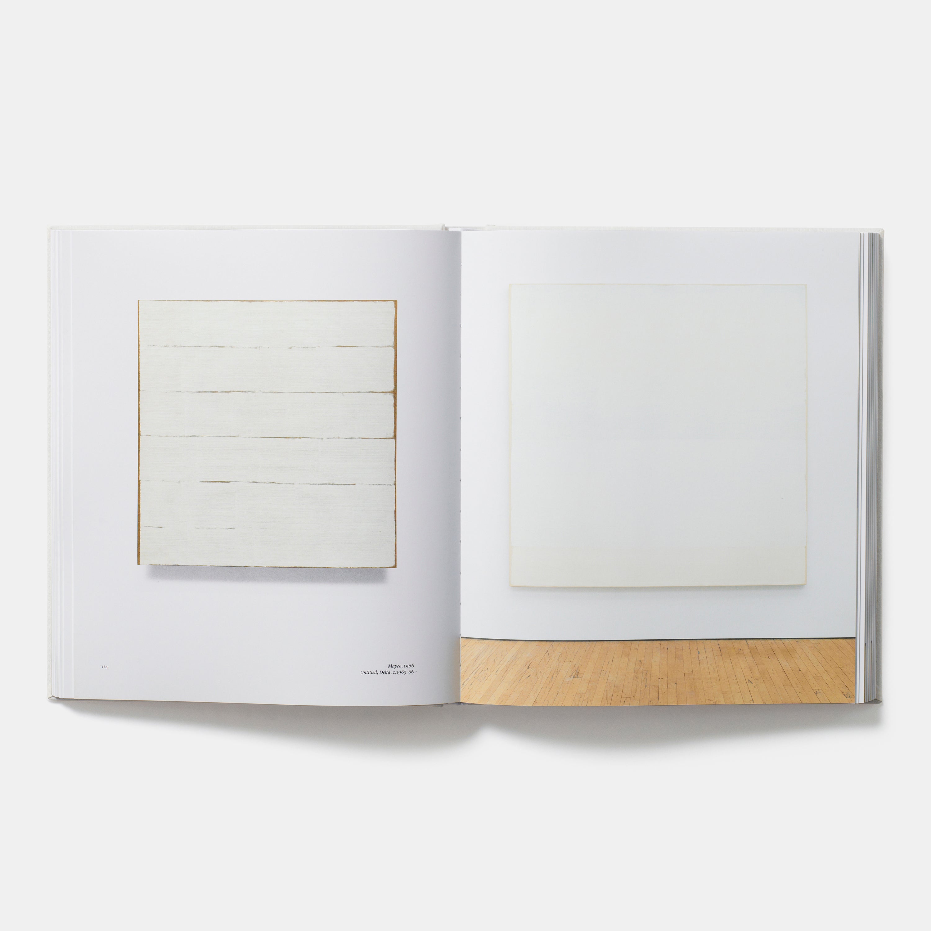 Robert Ryman | Standard Edition | 9780714849348 – Phaidon