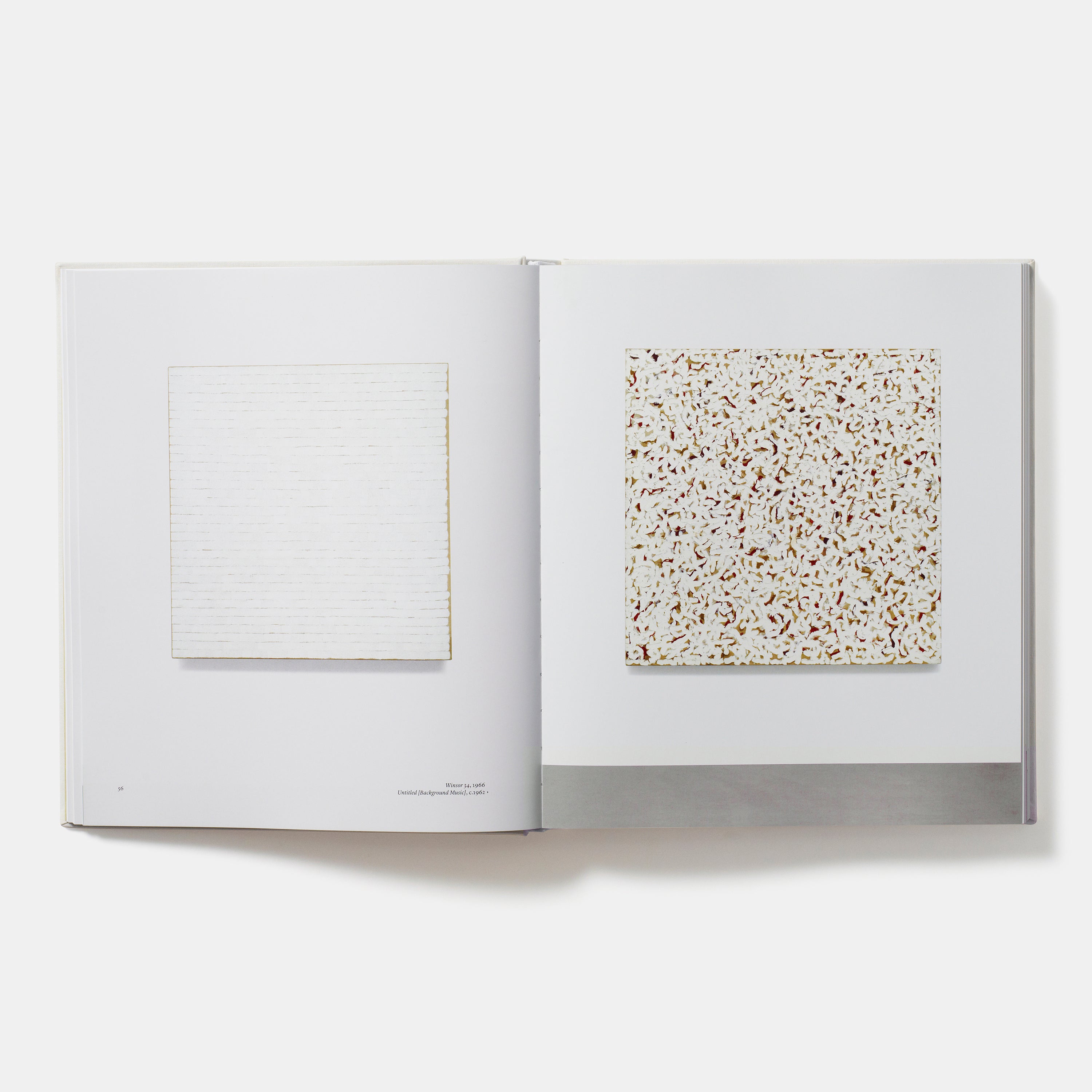 Robert Ryman | Standard Edition | 9780714849348 – Phaidon