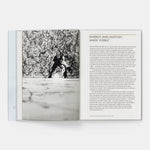 Jackson Pollock: Phaidon Focus