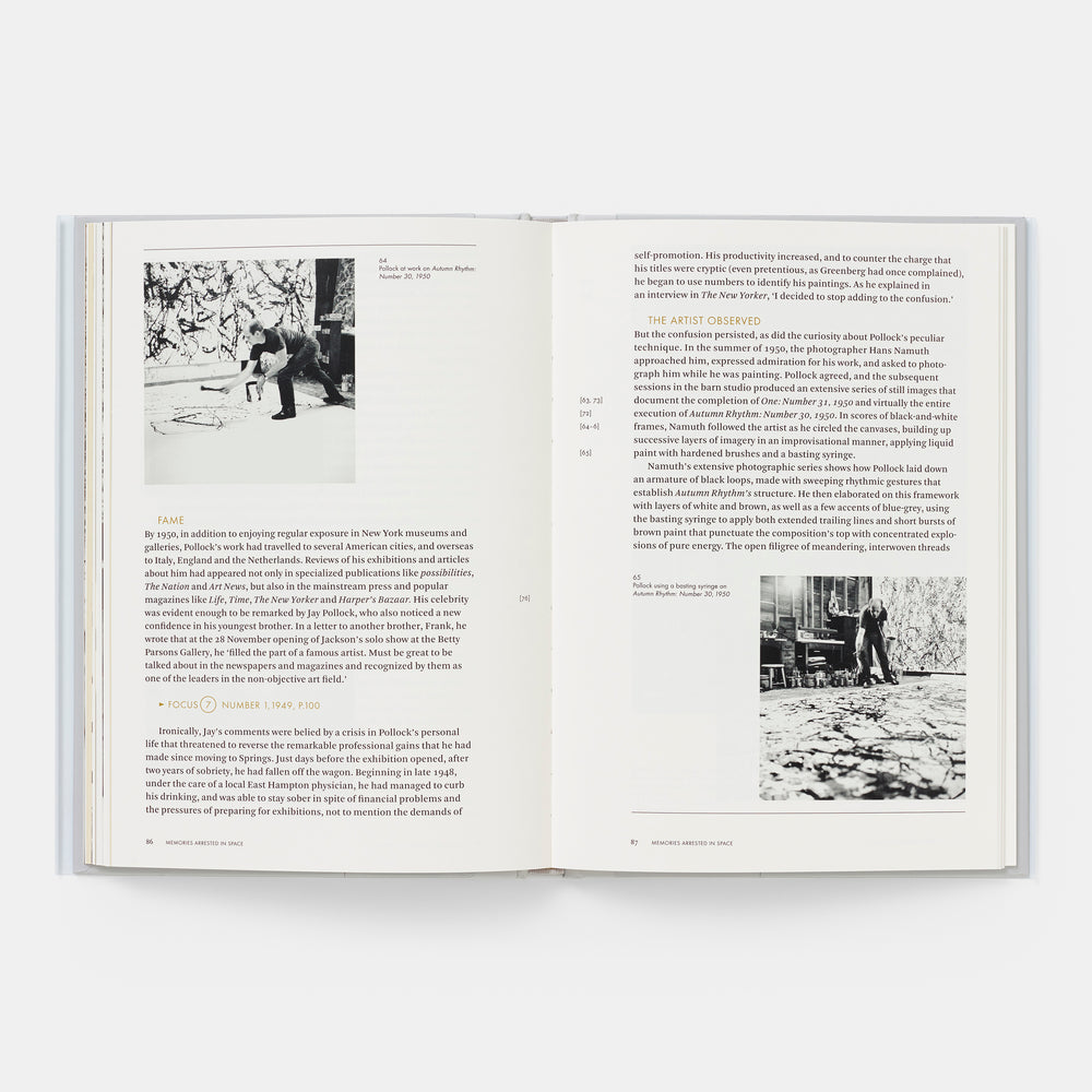 Jackson Pollock: Phaidon Focus