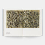Jackson Pollock: Phaidon Focus
