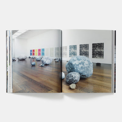 Sarah Sze