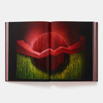 Daniel Ost: Floral Art and the Beauty of Impermanence