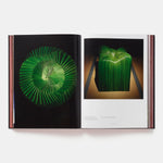 Daniel Ost: Floral Art and the Beauty of Impermanence