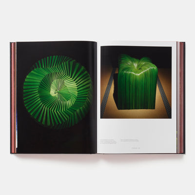 Daniel Ost: Floral Art and the Beauty of Impermanence