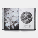 Studio Olafur Eliasson: The Kitchen