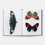 Evolution: A Visual Record