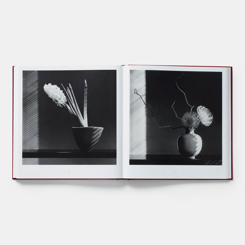 Mapplethorpe Flora: The Complete Flowers