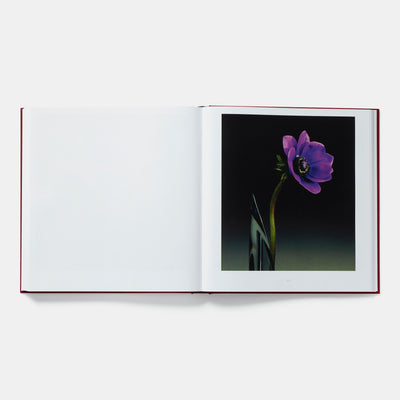 Mapplethorpe Flora: The Complete Flowers