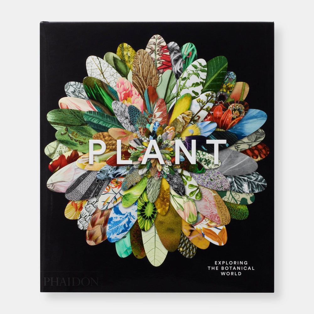 Plant: Exploring the Botanical World