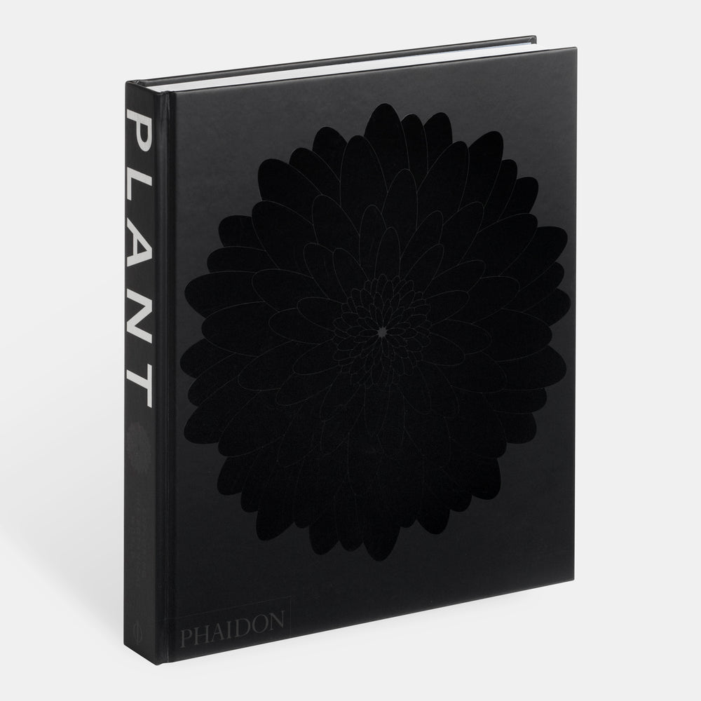 Plant: Exploring the Botanical World