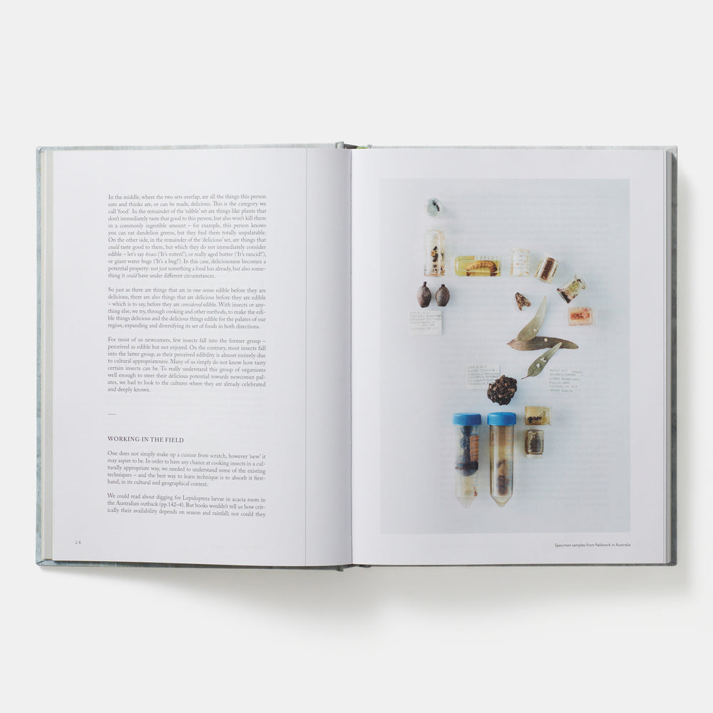 On Eating Insects: Essays, Stories and Recipes