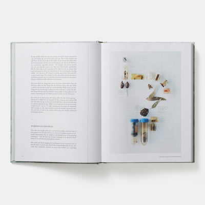 On Eating Insects: Essays, Stories and Recipes