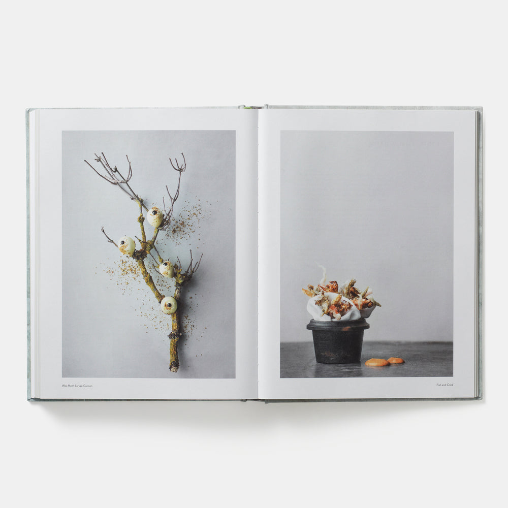 On Eating Insects: Essays, Stories and Recipes