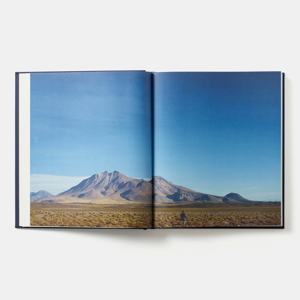 Borago: Coming from the South