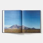 Borago: Coming from the South