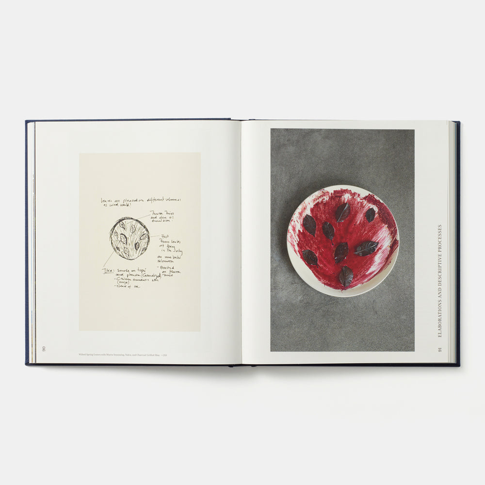 Borago: Coming from the South