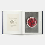 Borago: Coming from the South