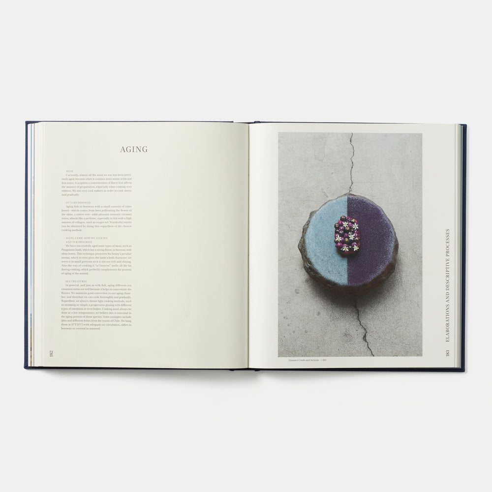 Borago: Coming from the South