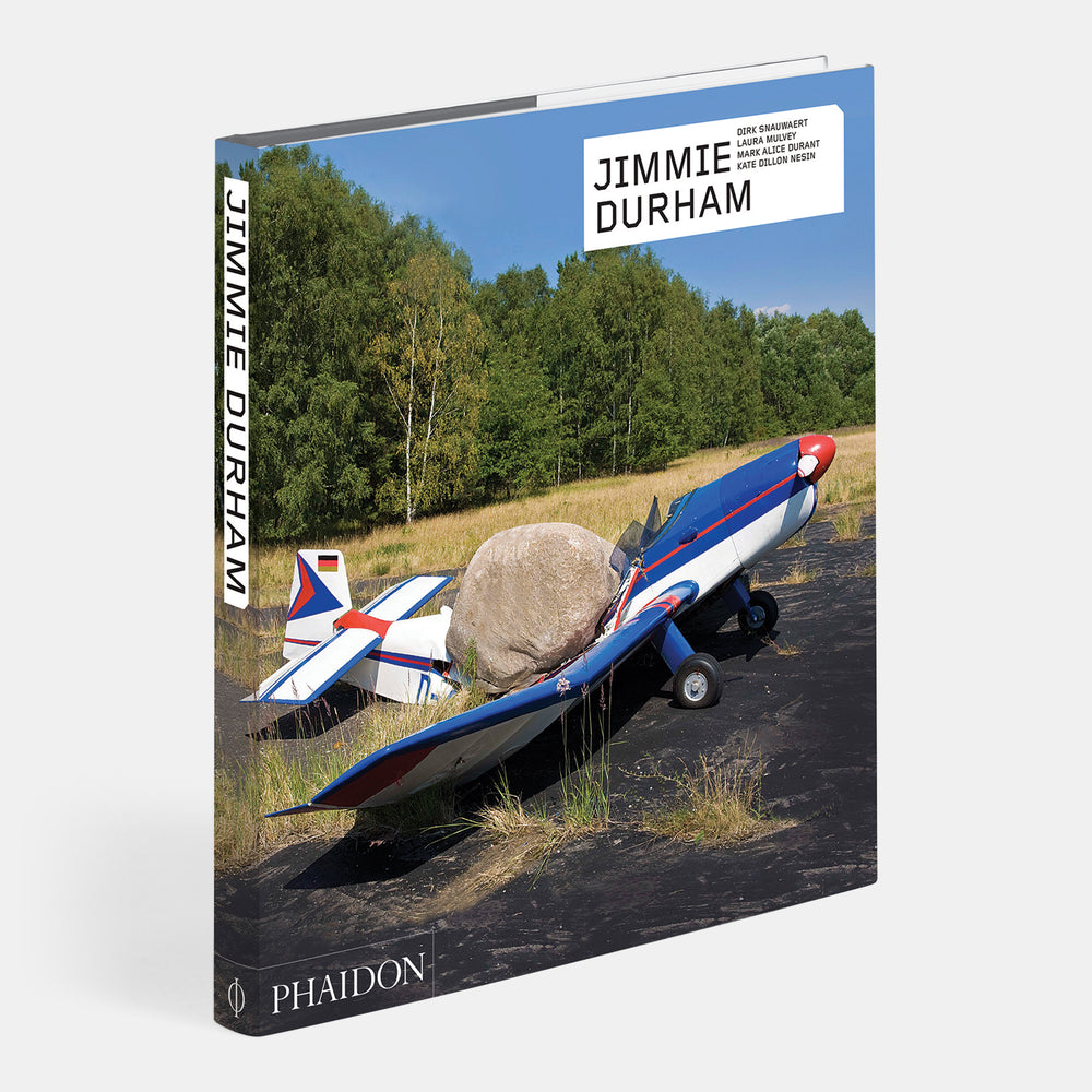 Jimmie Durham: Contemporary Artists series