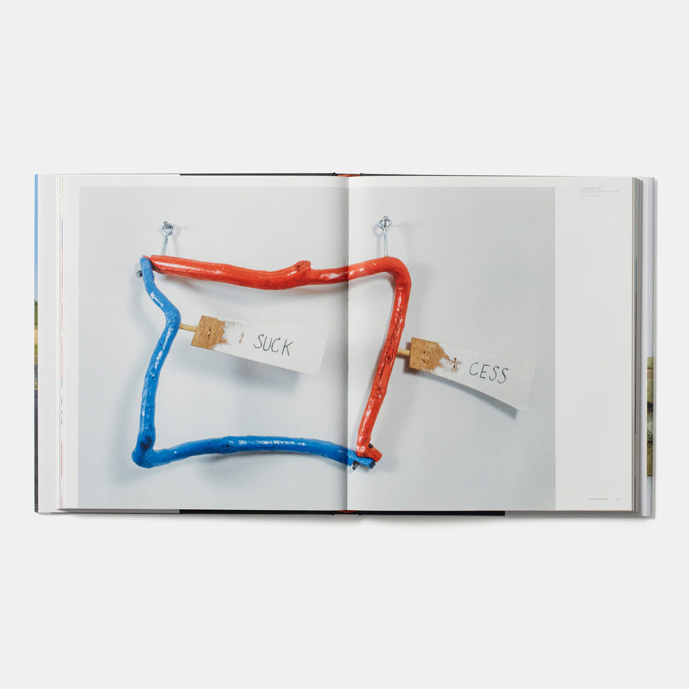 Jimmie Durham: Contemporary Artists series