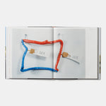 Jimmie Durham: Contemporary Artists series