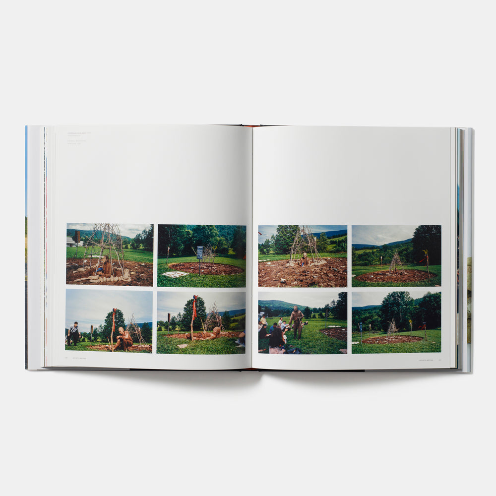 Jimmie Durham: Contemporary Artists series