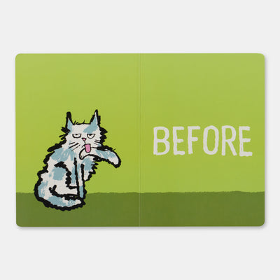 Before & After