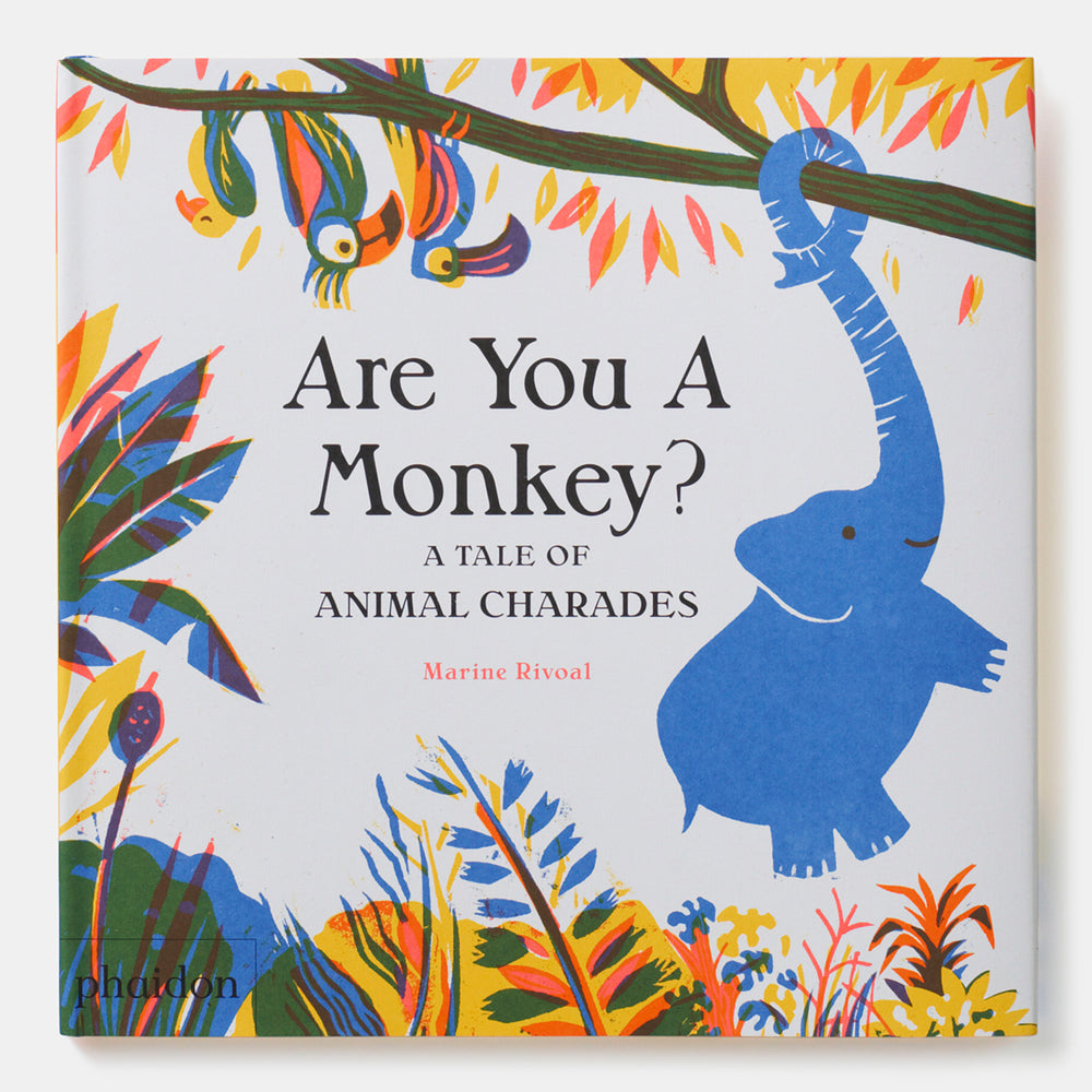 Are You A Monkey?: A Tale of Animal Charades