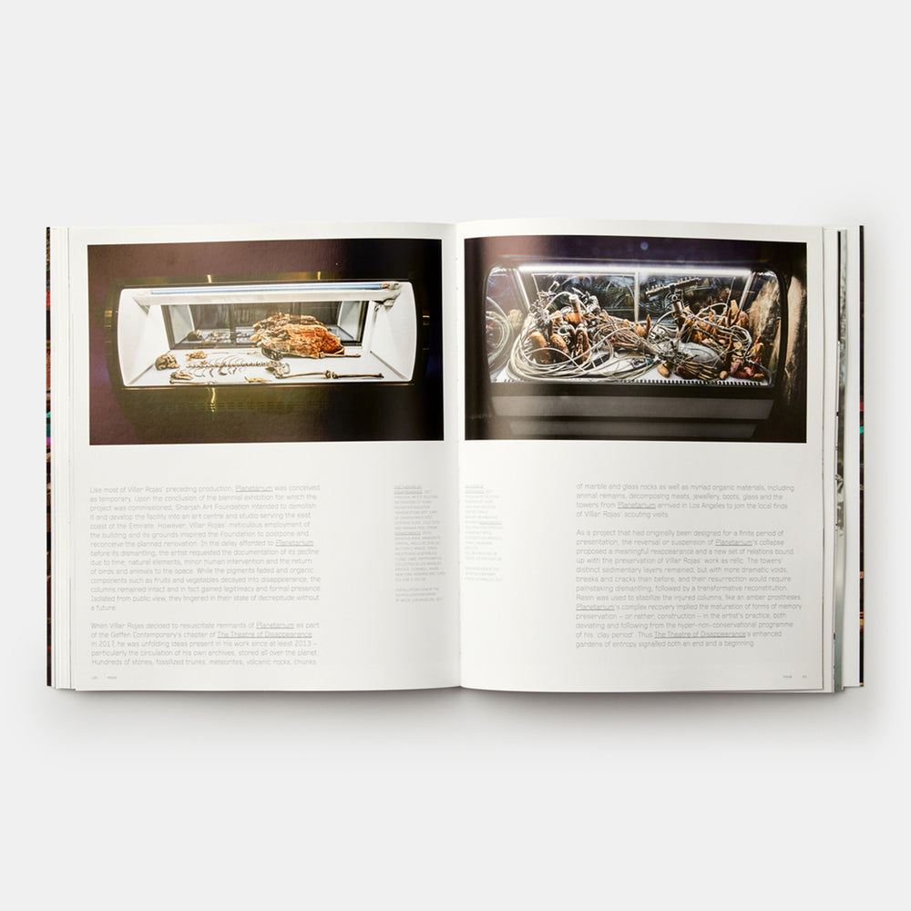 Adrián Villar Rojas