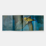 Harland Miller: In Shadows I Boogie