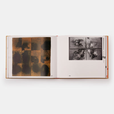 The Andy Warhol Catalogue Raisonné: Paintings 1976-1978 (Volume 5)