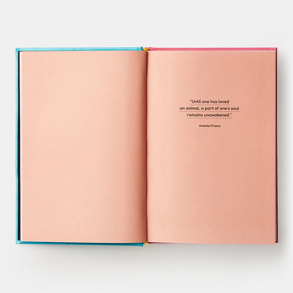 Pet-tecture: Design for Pets