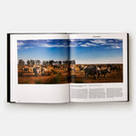 Animal: Exploring the Zoological World