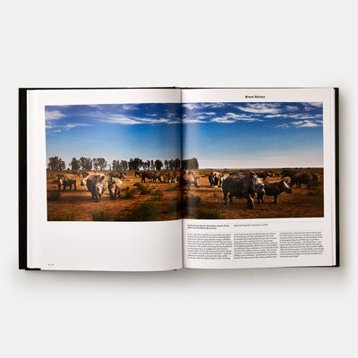 Animal: Exploring the Zoological World