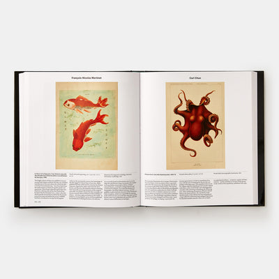 Animal: Exploring the Zoological World