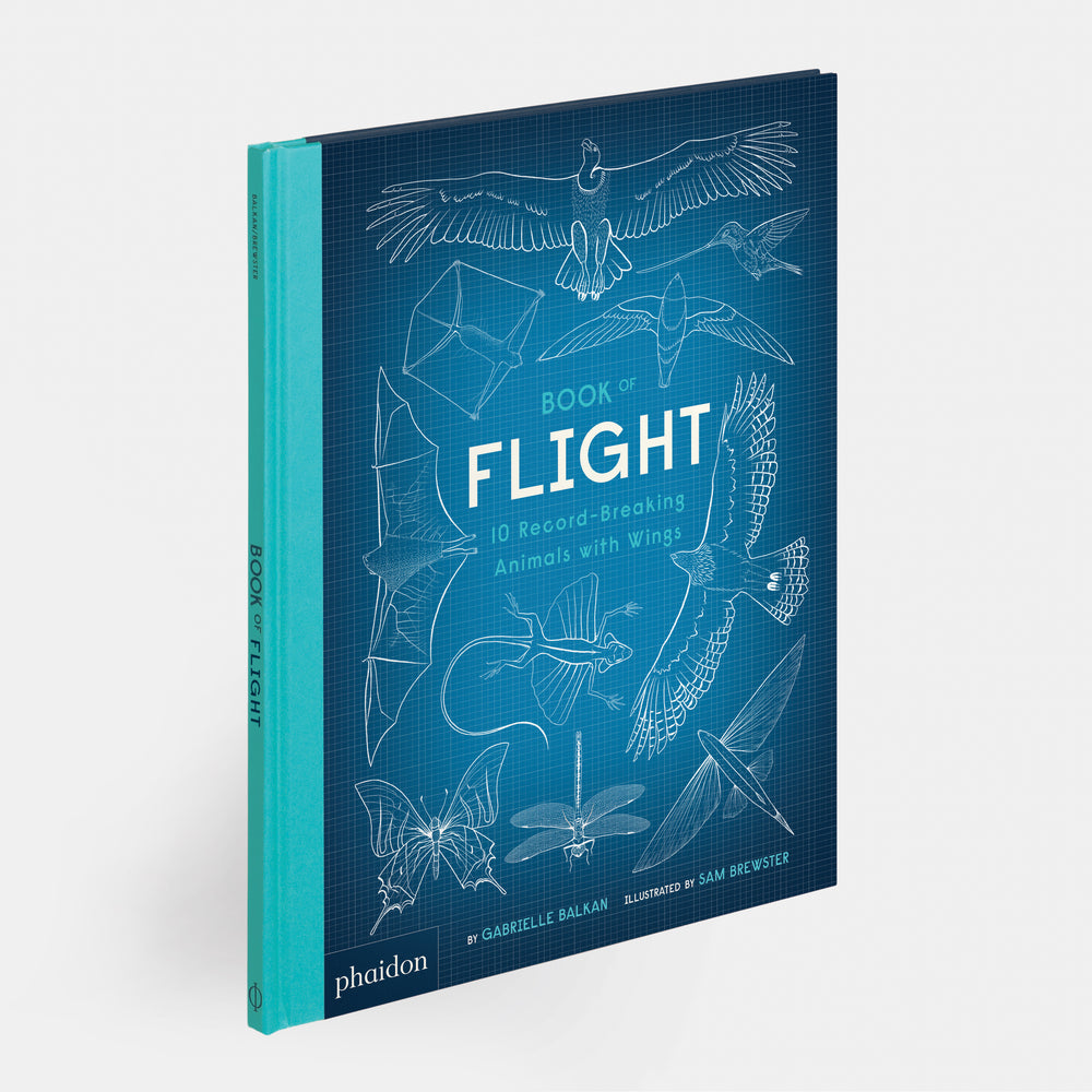 Book of Flight: 10 Record-Breaking Animals with Wings