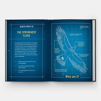 Book of Flight: 10 Record-Breaking Animals with Wings