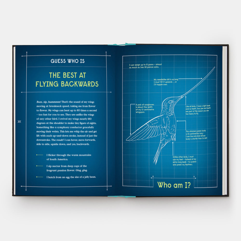 Book of Flight: 10 Record-Breaking Animals with Wings