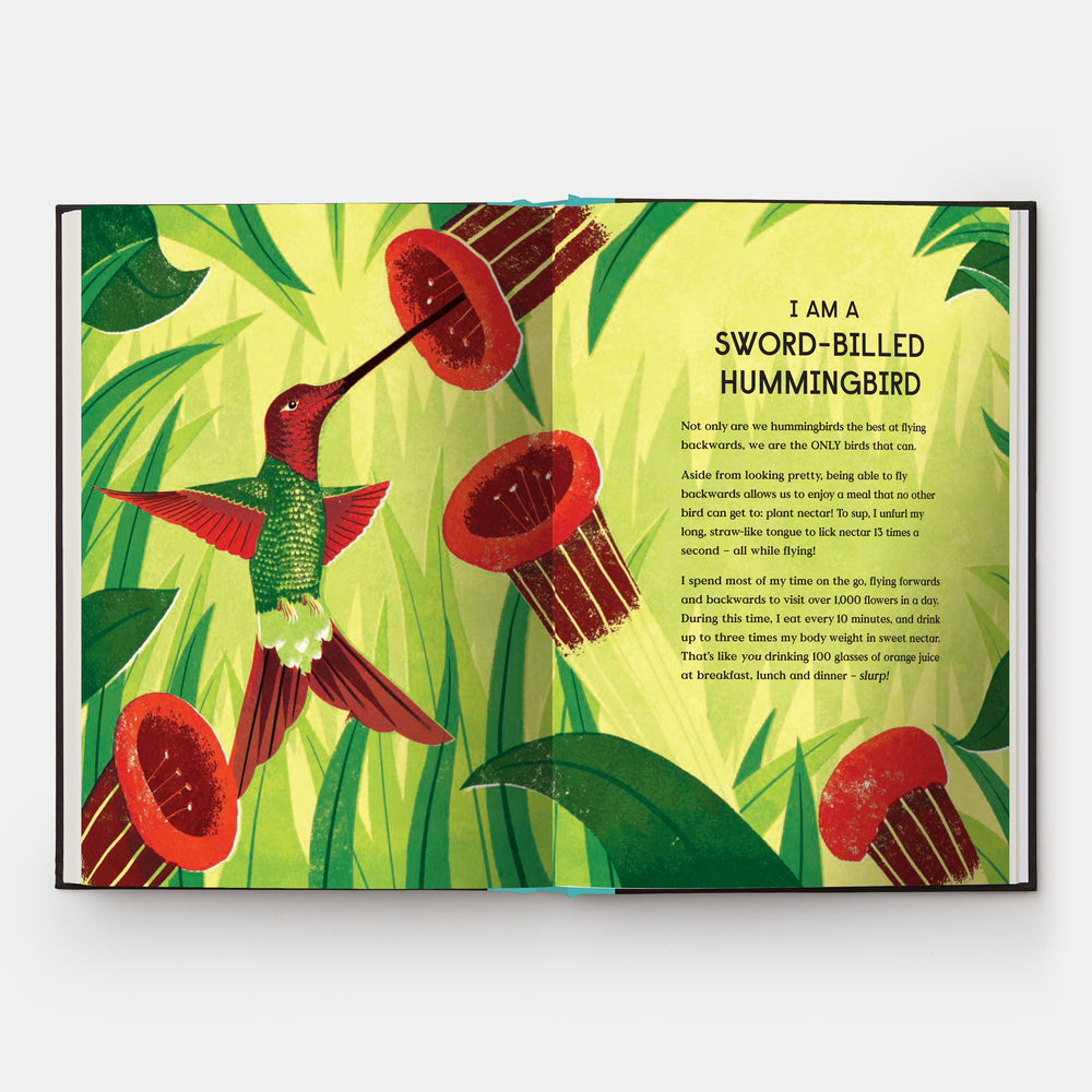 Book of Flight: 10 Record-Breaking Animals with Wings