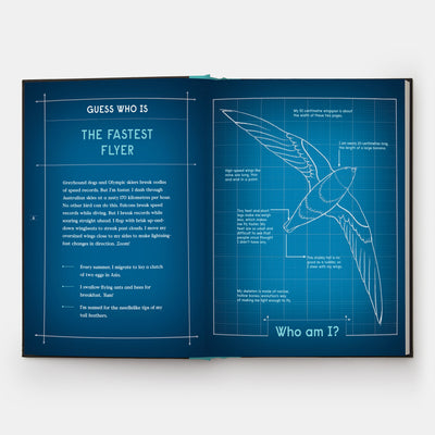 Book of Flight: 10 Record-Breaking Animals with Wings